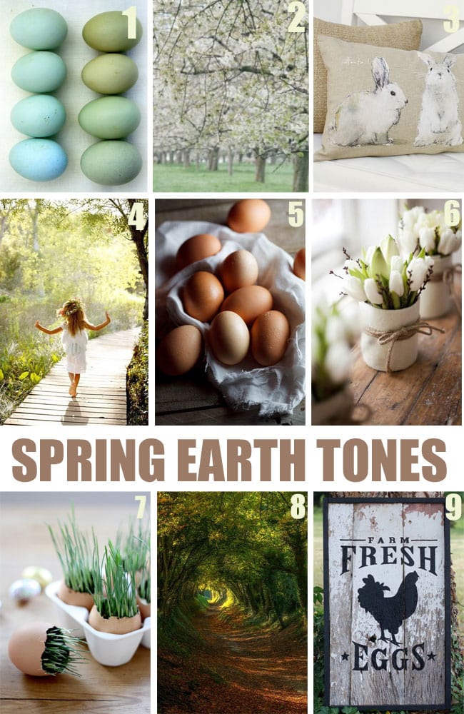 Spring Earth Tones