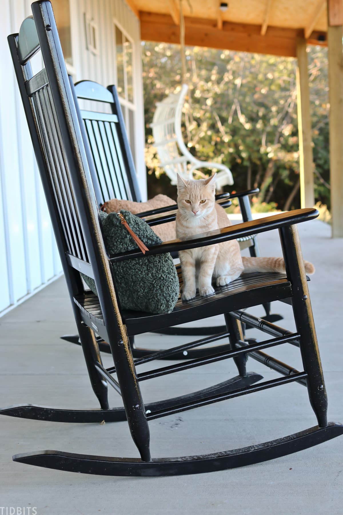 cat sitting on black rocking chair on front porch