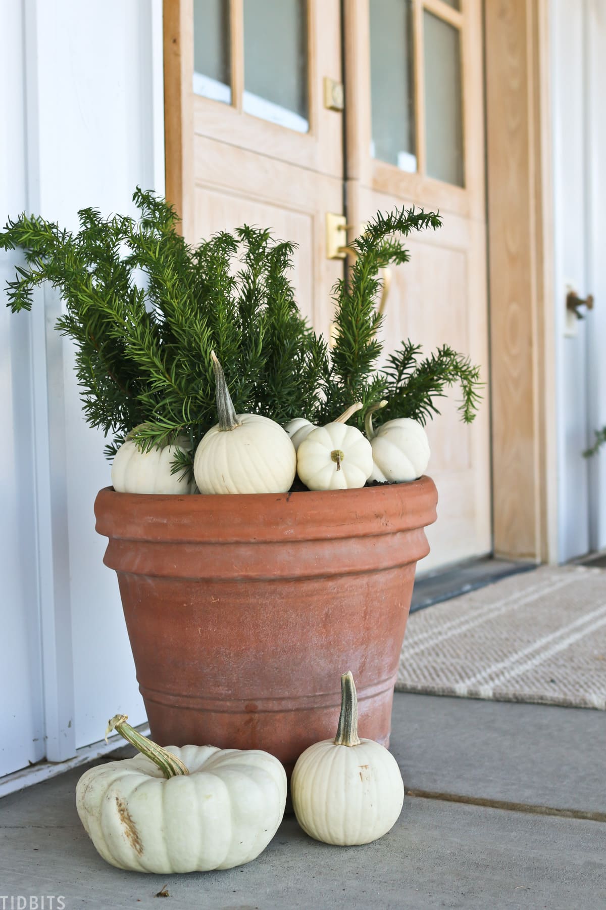 green floral leaves in a large pot with white pumpkins