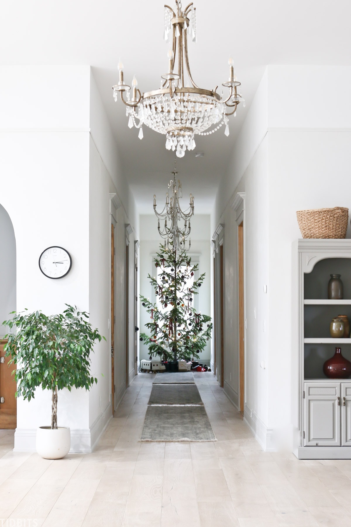 Old fashioned Christmas tree placed at the end of a hallway with two chandeliers hanging from the ceiling 