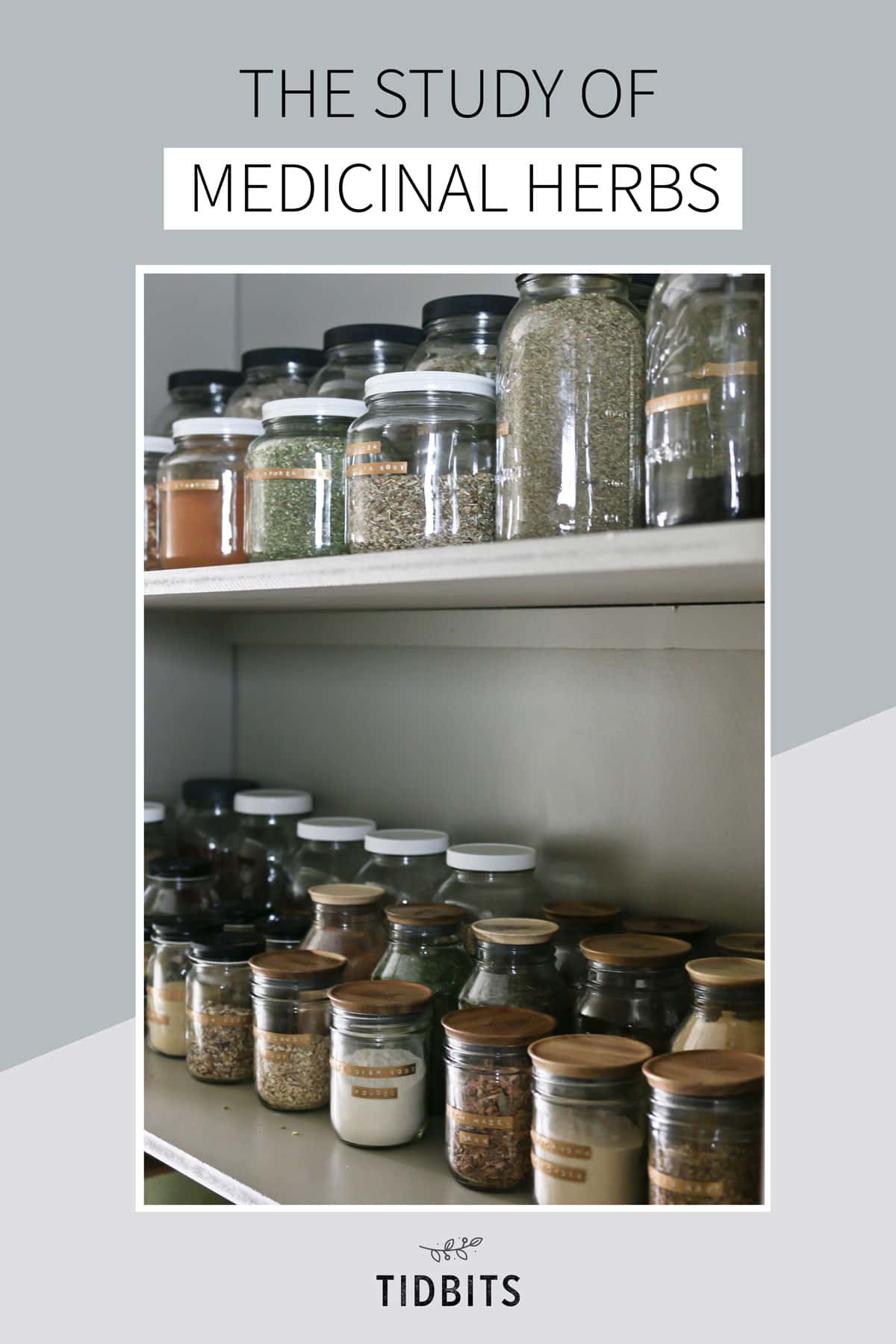 The study of medicinal herbs