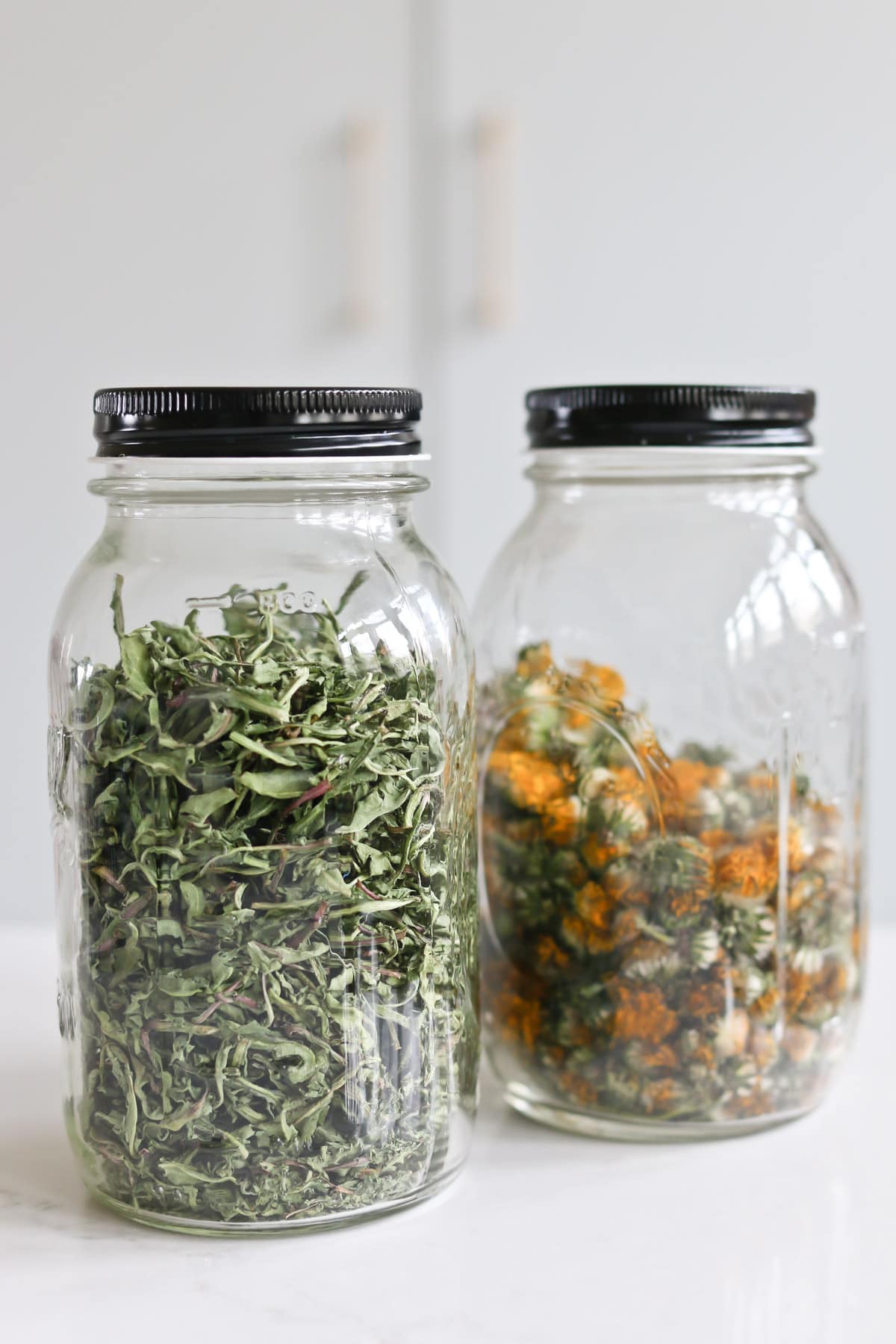 dried dandelion leaves and buds in glass jars
