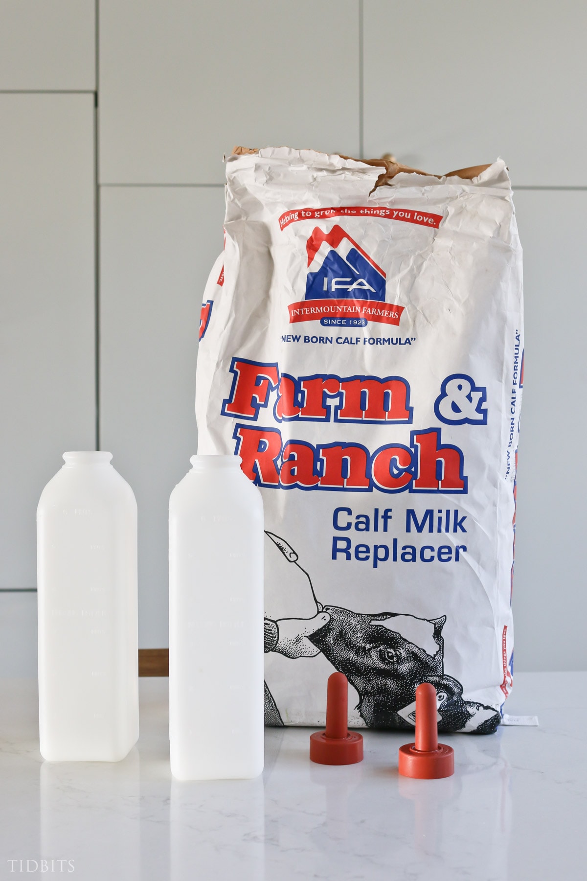 milk replacer for bottle calves