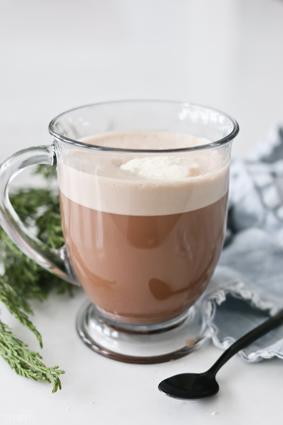 Yummy Healthy Hot Chocolate Mix Recipe - NO ADDED SUGAR!
