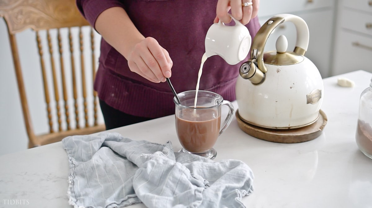 Yummy Healthy Hot Chocolate Mix Recipe - NO ADDED SUGAR!