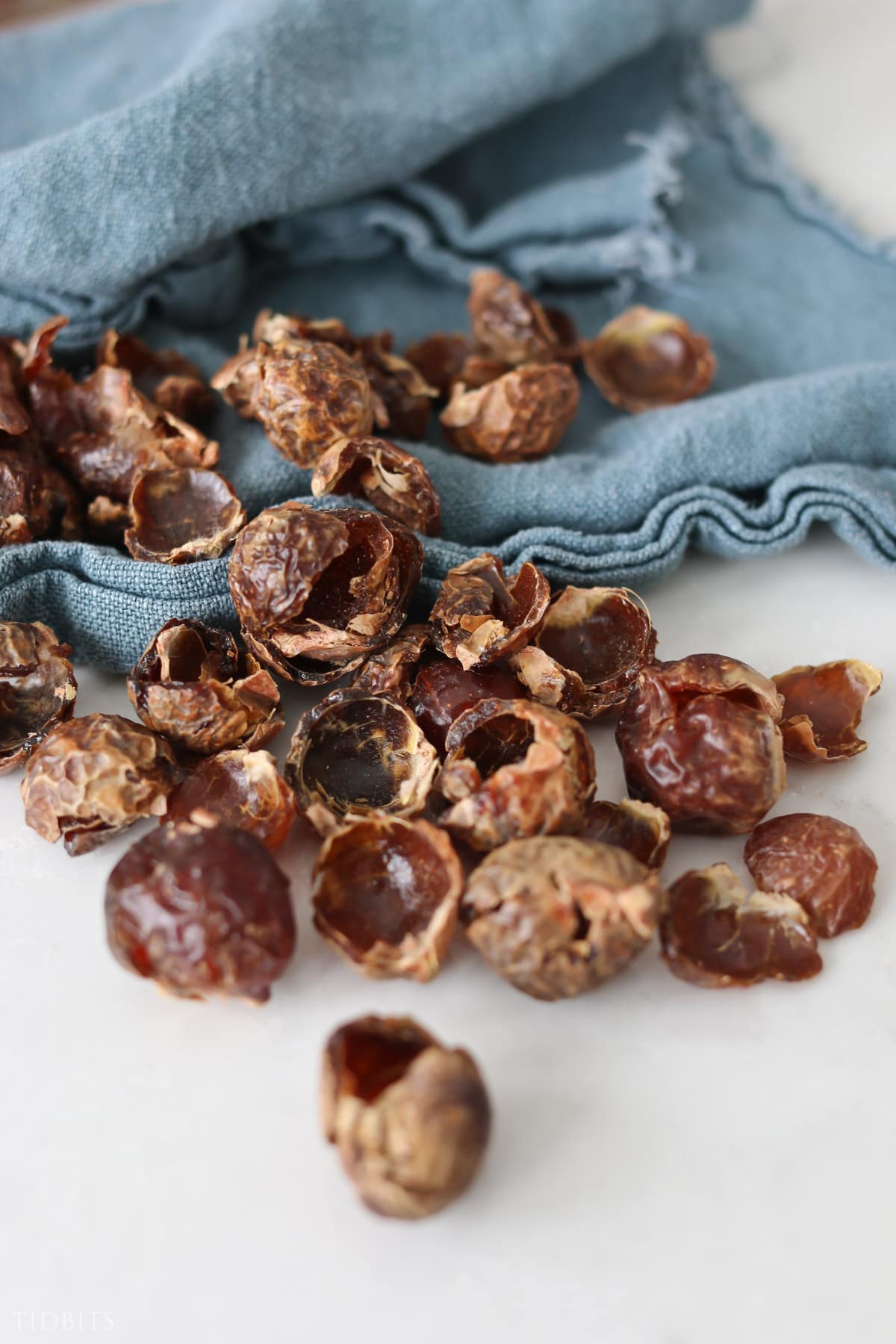 what are soap nuts?