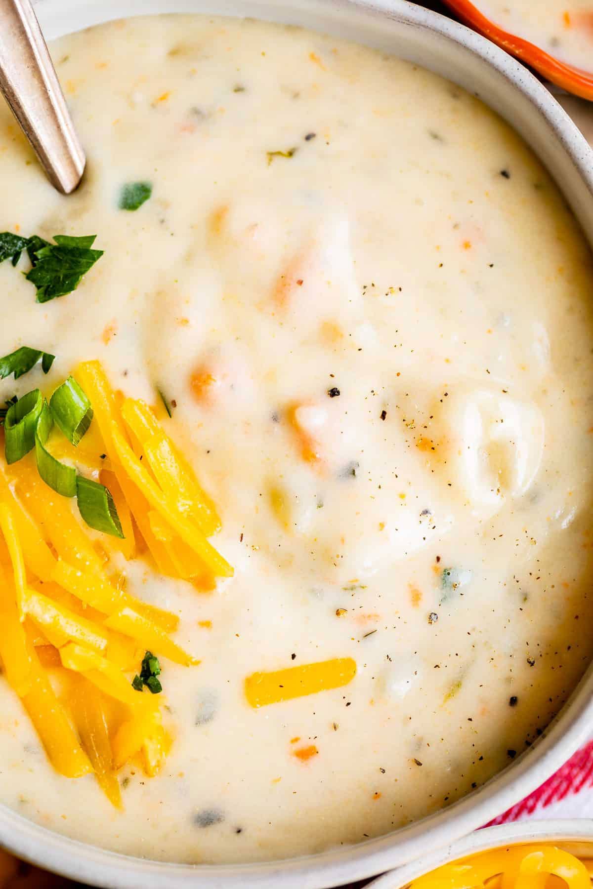 Close up of creamy potato soup recipe with green onions and cheese on top