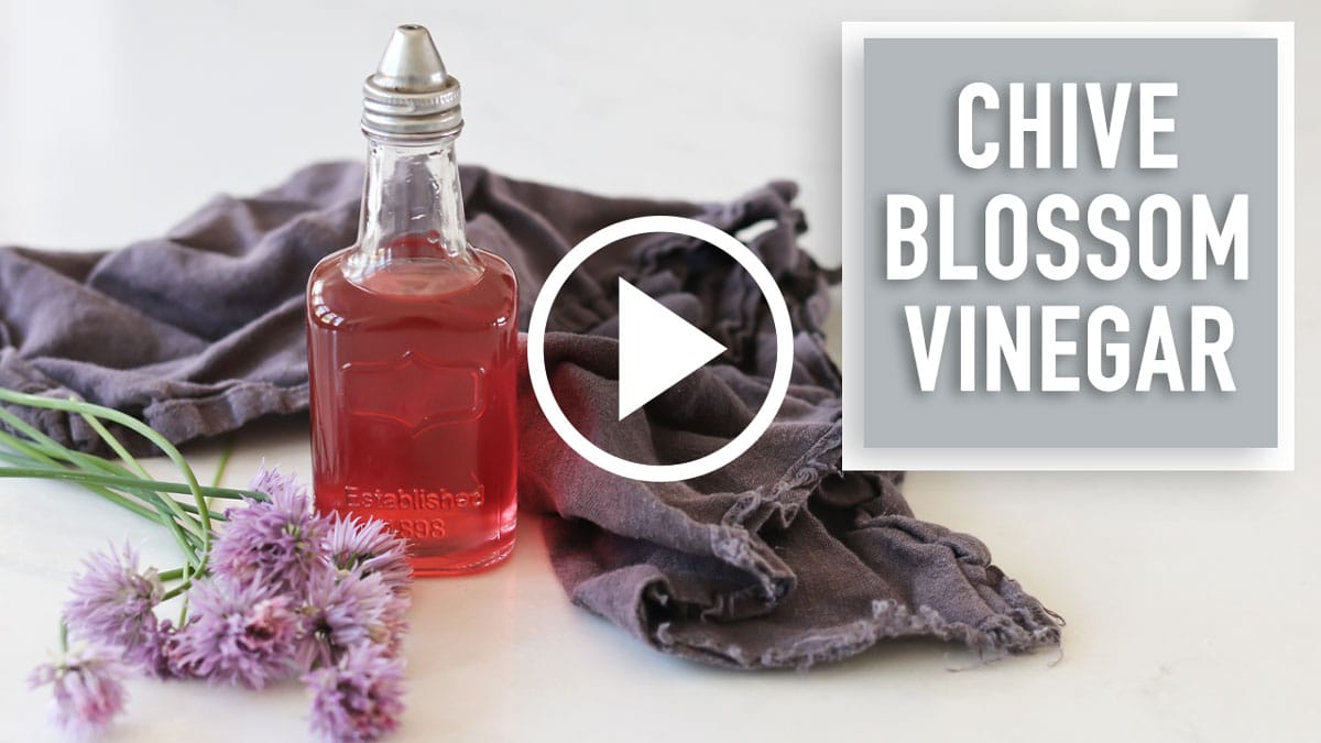 Video thumbnail for how to make your own chive blossom vinegar