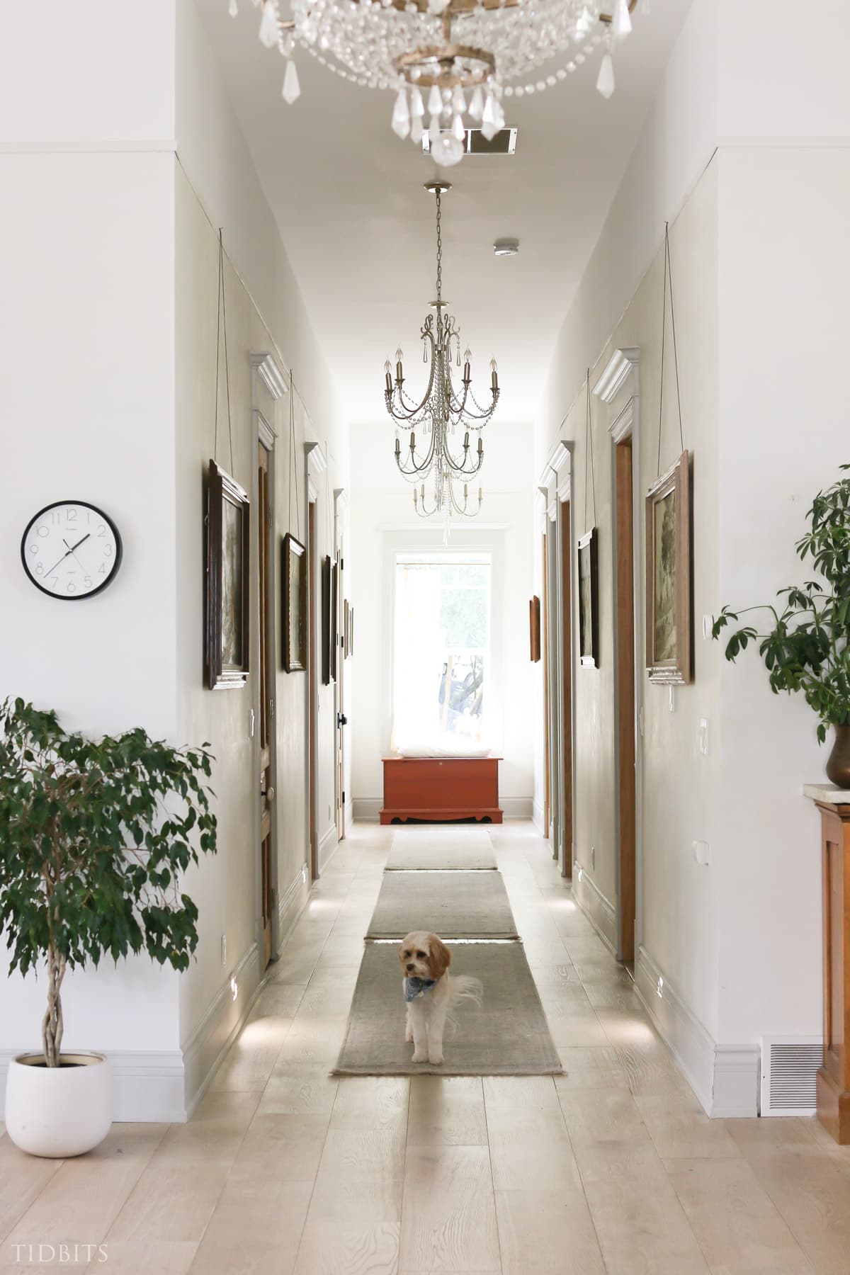 Chandeliers, large wall art ideas and rugs in a hallway