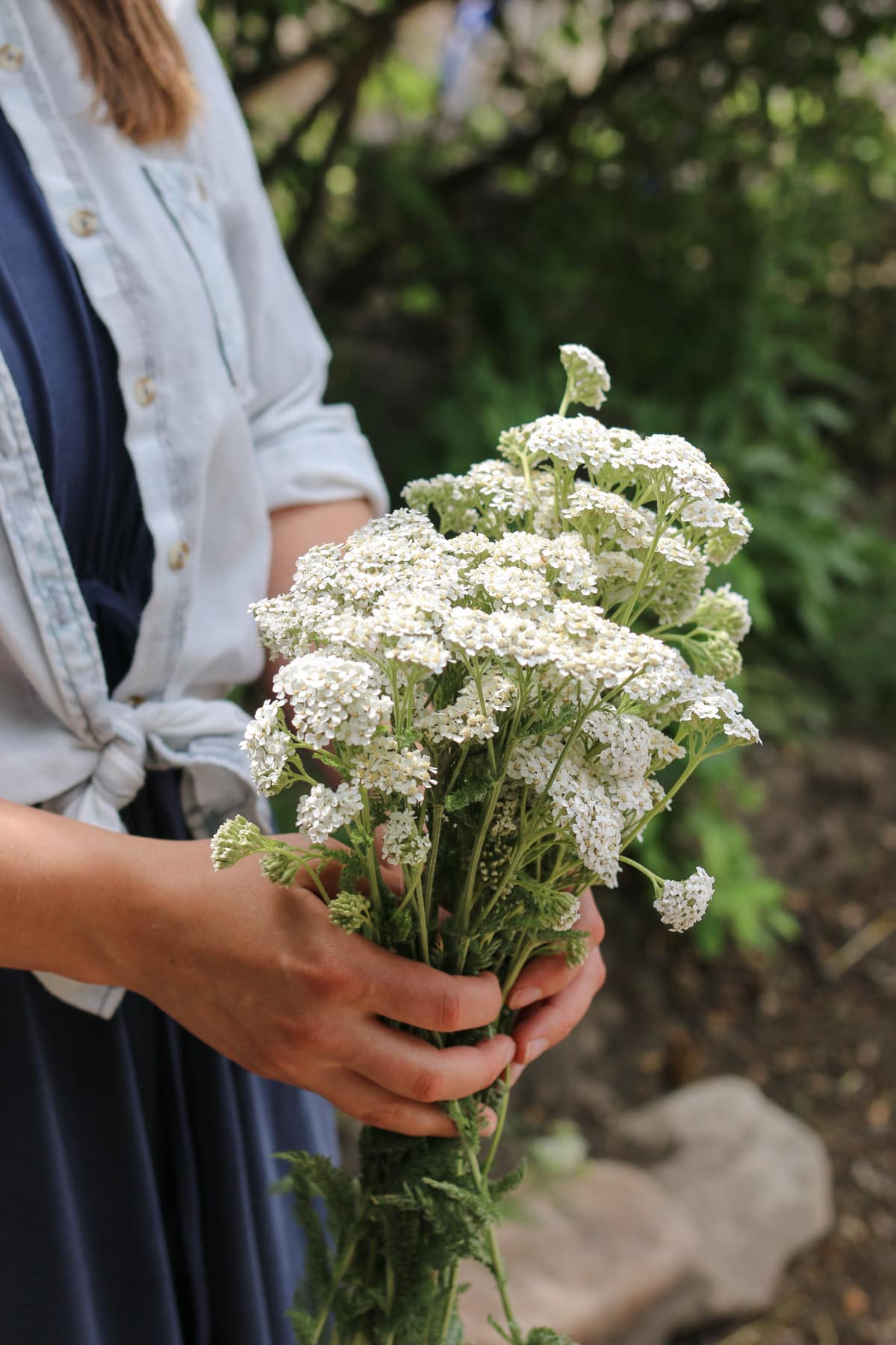 Woman holding stems of white yarrow flowers