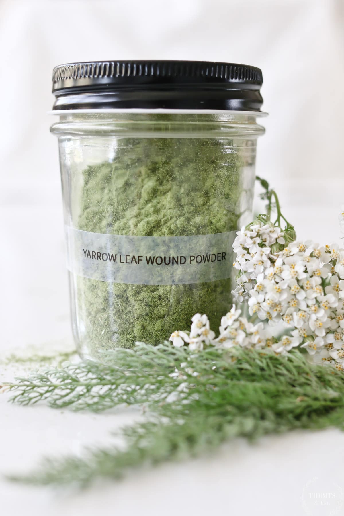 Yarrow wound powder for stopping bleeding and healing wounds