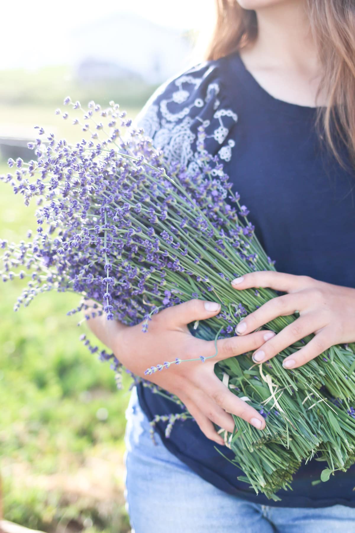 A girl holds a bouquet of cut lavender