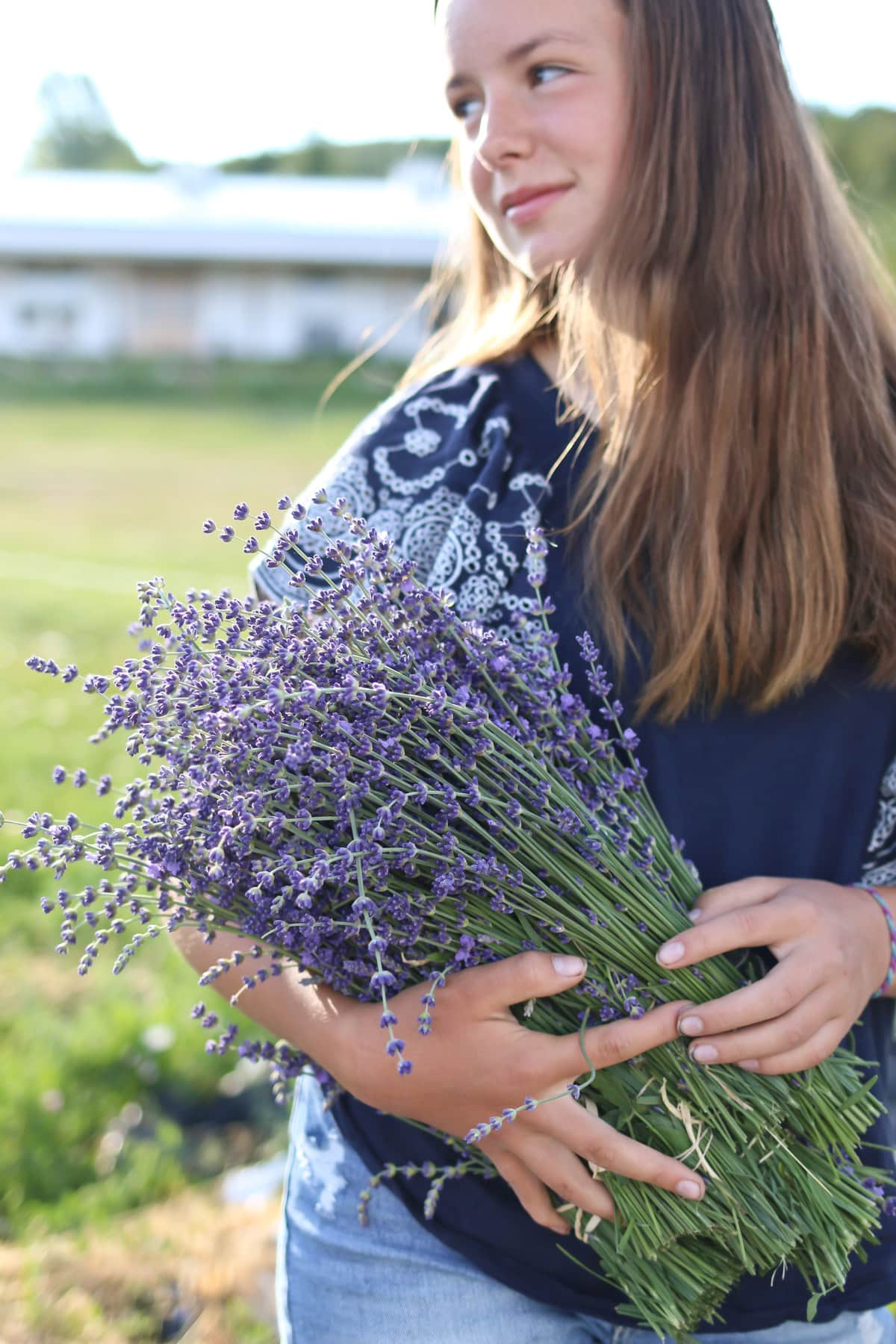 A girl carries lavender in her arms