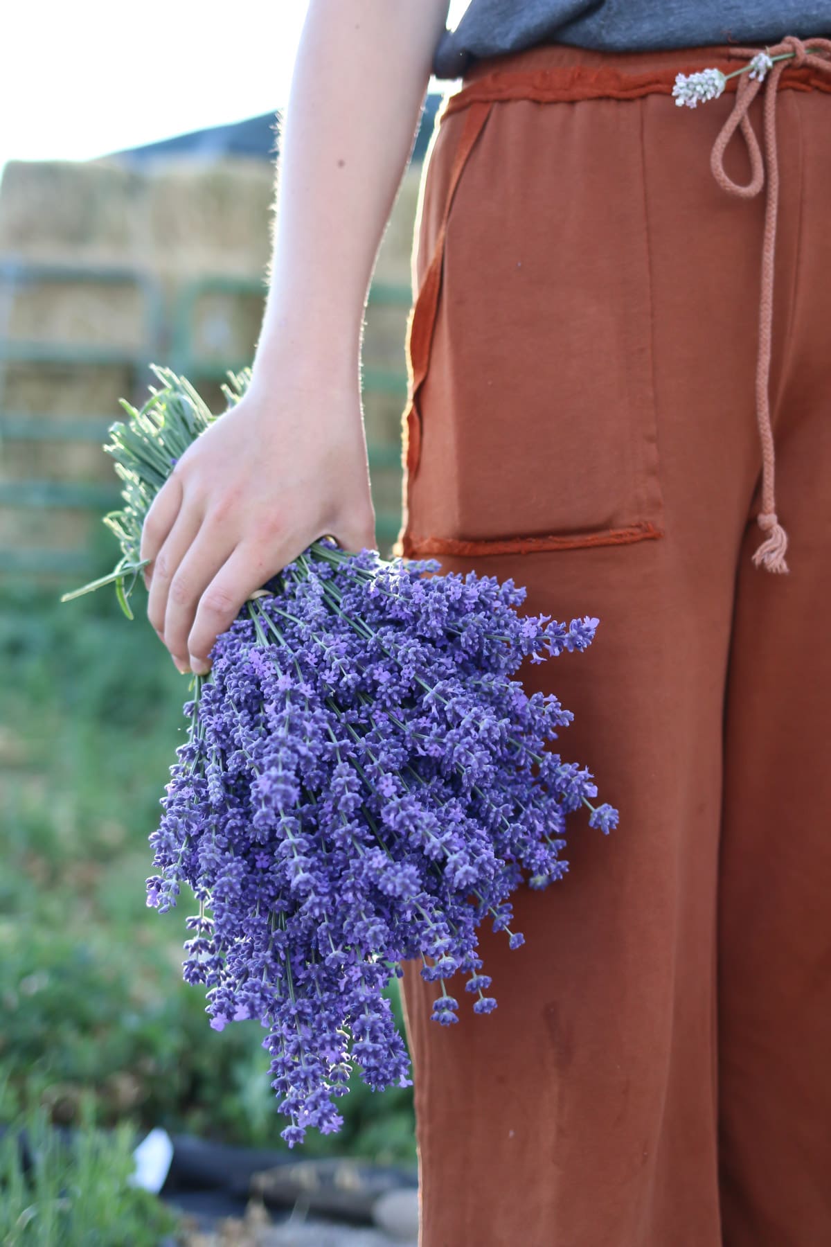 A girl holds a bundle of lavender in her hand