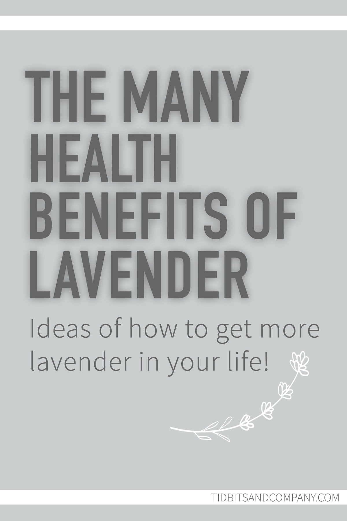 Text image of "the many health benefits of lavender"