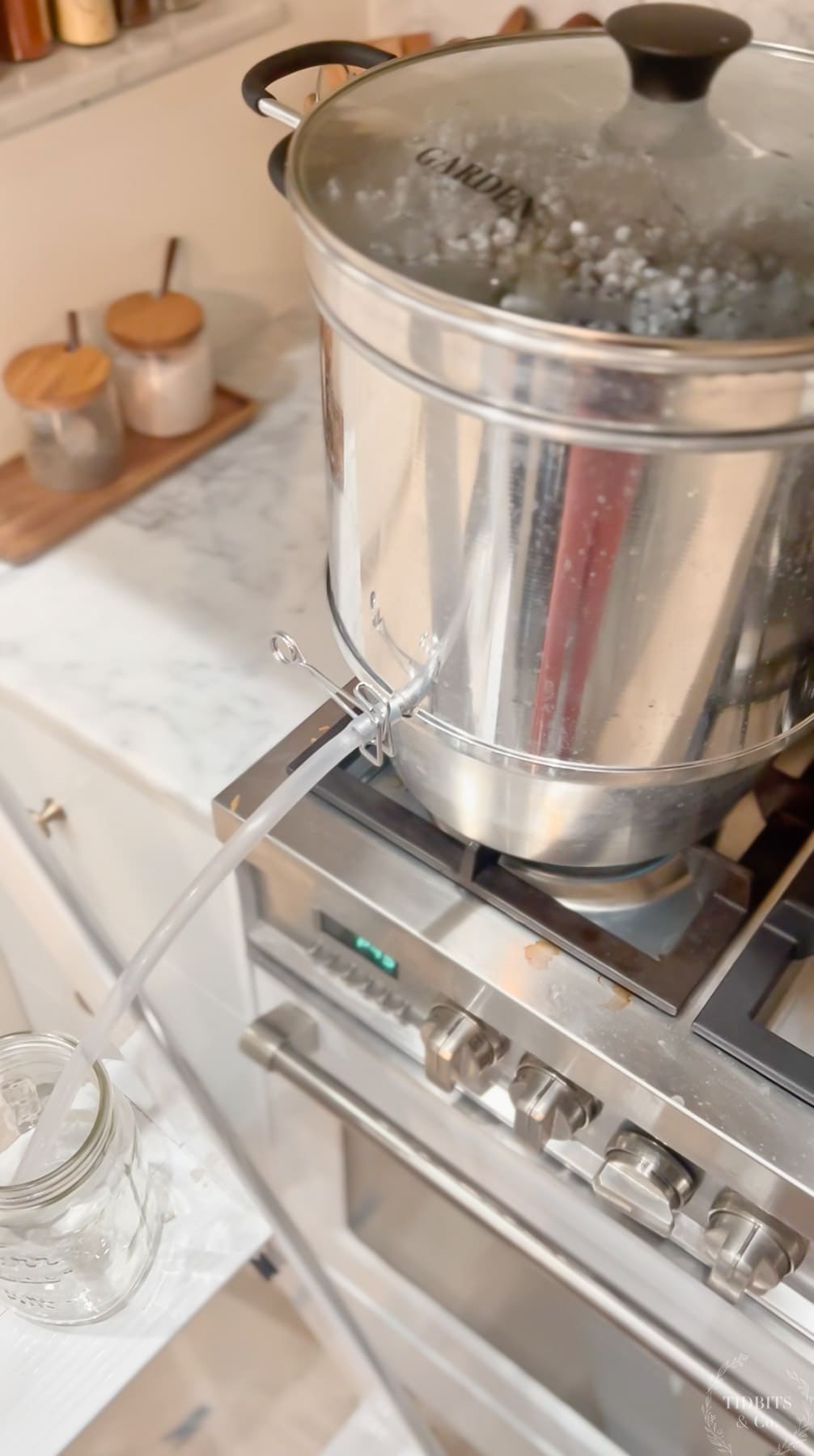 A steam juicer sits on a stainless steel stove top