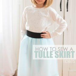 Tulle Skirt with a Wide Elastic Waistband (Version #2)