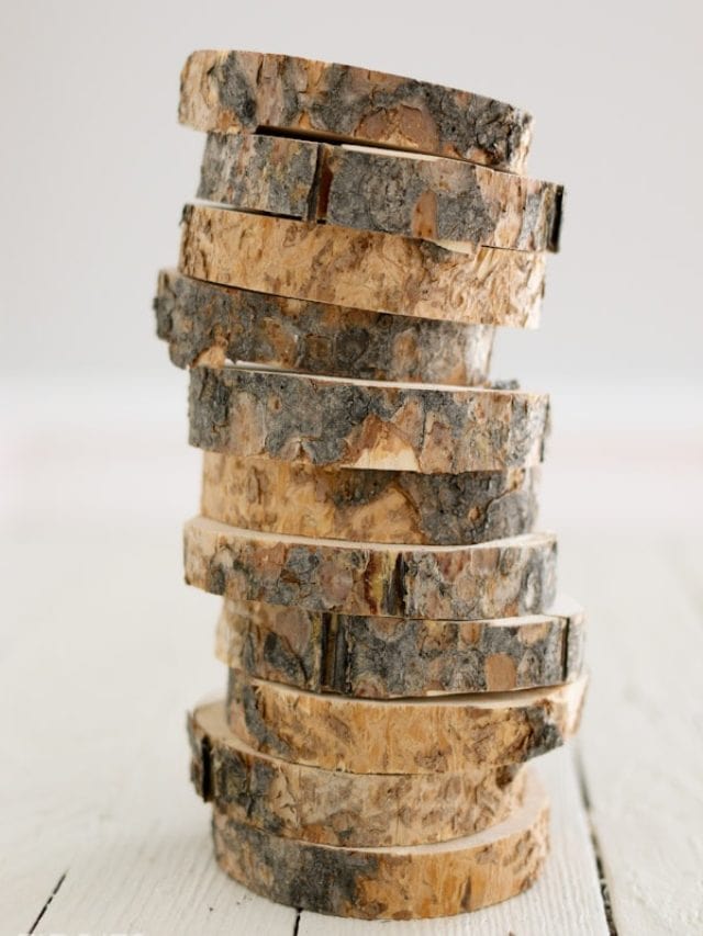 Make Botanical Wood Slices Story