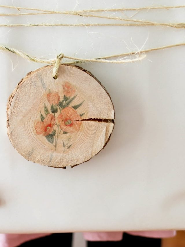Nature-Inspired DIY: Creative Uses for Botanical Wood Slices Story