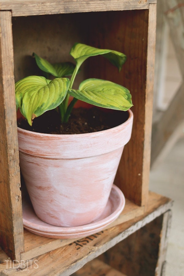 How to white wash a terra cotta pot | Summer front porch decor