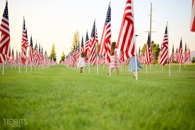 Field of Flags