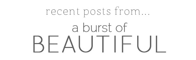 Recent Posts From_A Burst of Beautiful