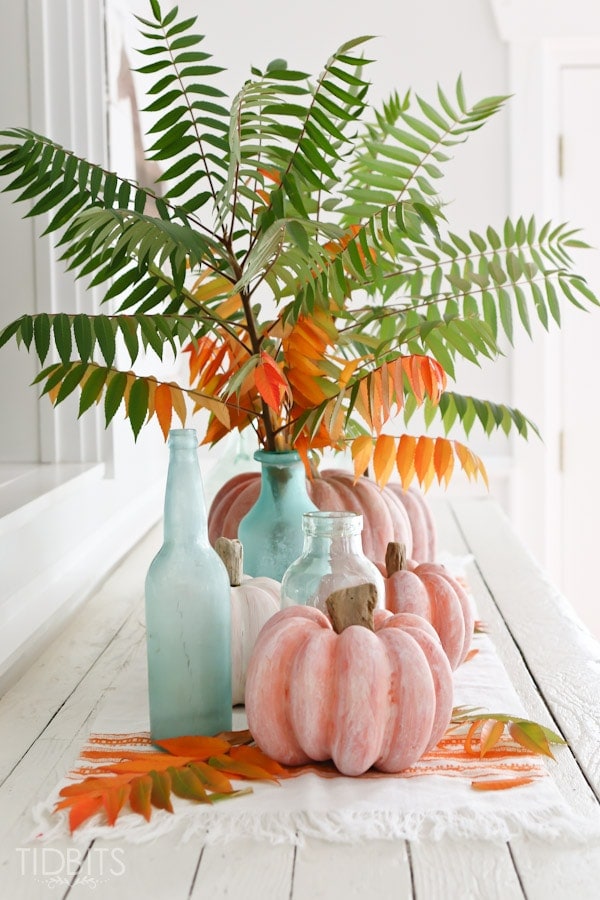 How to white wash a pumpkin and add a driftwood stem - for lovely coastal or shabby chic Fall decor.