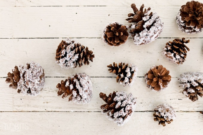 DIY Snow Covered Pinecones