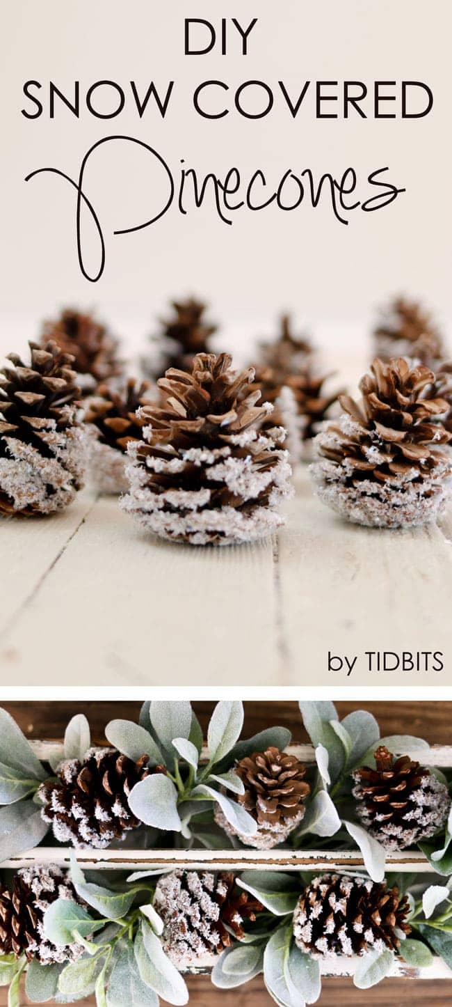DIY Snow Covered Pinecones - a perfect project for the whole family and lovely home decor that can last all winter long.