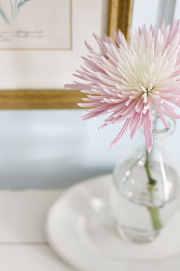 7 Ways to make the most of your floral arrangements. Bring fresh flowers into your home and learn how to make the most impact with little investment.