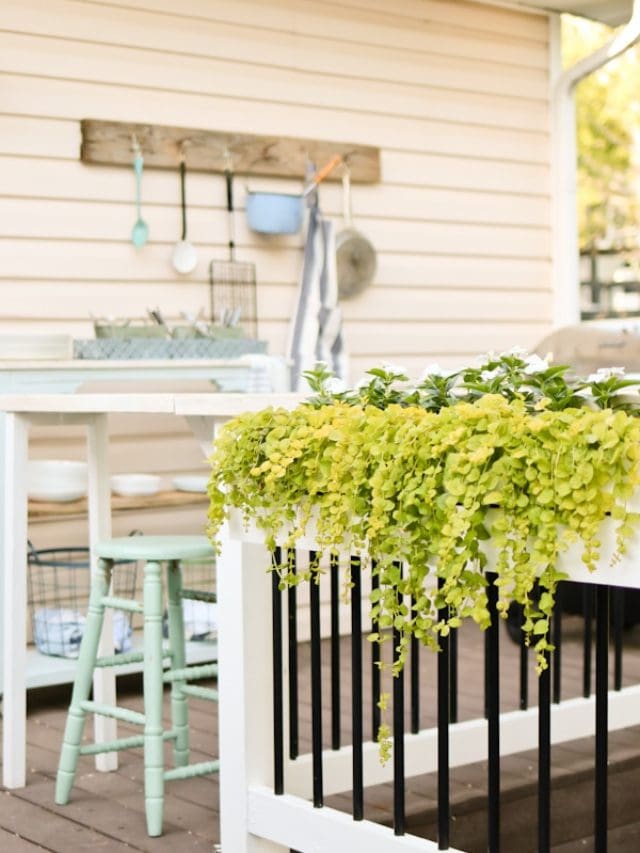 Deck Makeover Reveal Day Story - Tidbits