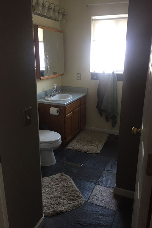 Master Bathroom Before and After tour.