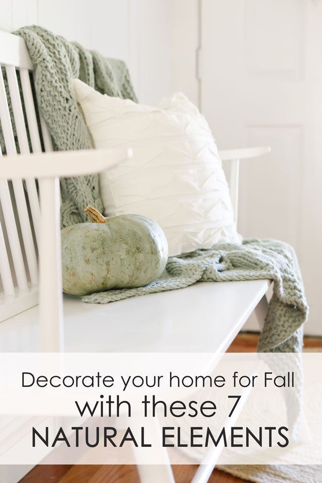 Decorate for Fall with these 7 natural elements.