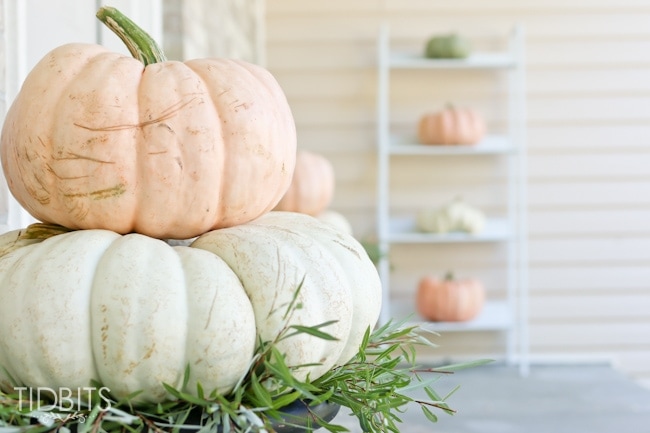 Simple and lovely Fall front porch decor.