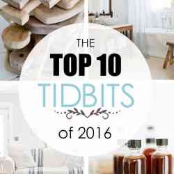 The Top 10 TIDBITS of 2016