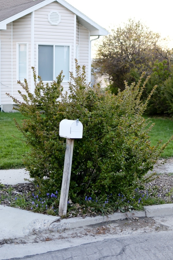 curb appeal: project mailbox makeover