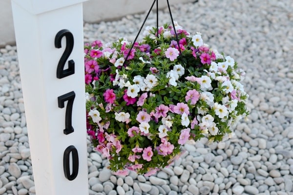 Curb Appeal: Project Mailbox Makeover