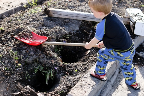 little kid digging on soil
