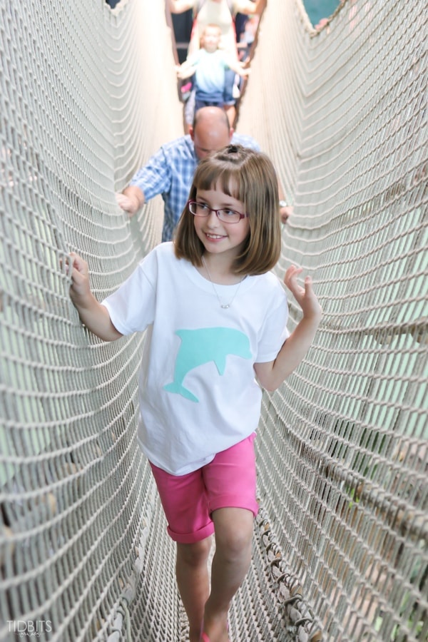 Easy, No Sew Applique T-Shirts. A fun quick project for a fun family outing.