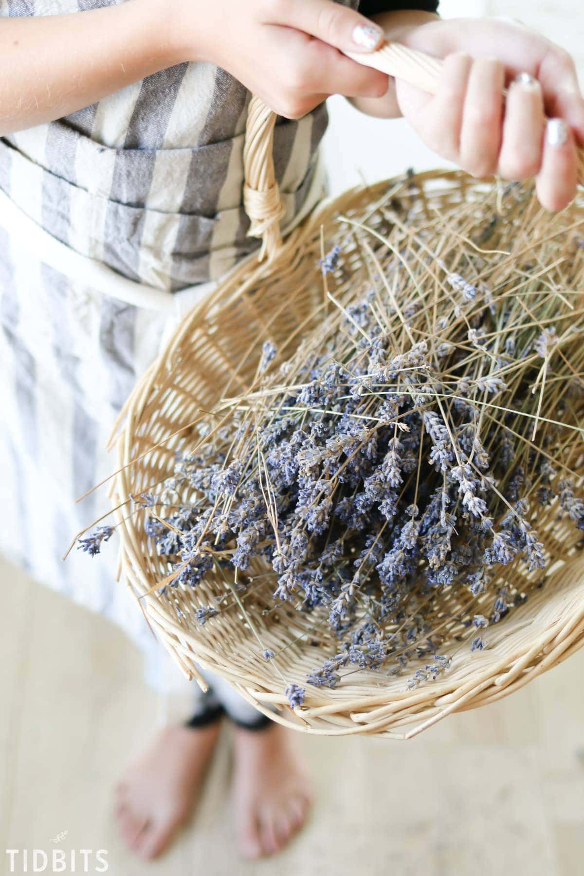 20+ Ways to enjoy a Lavender Harvest.