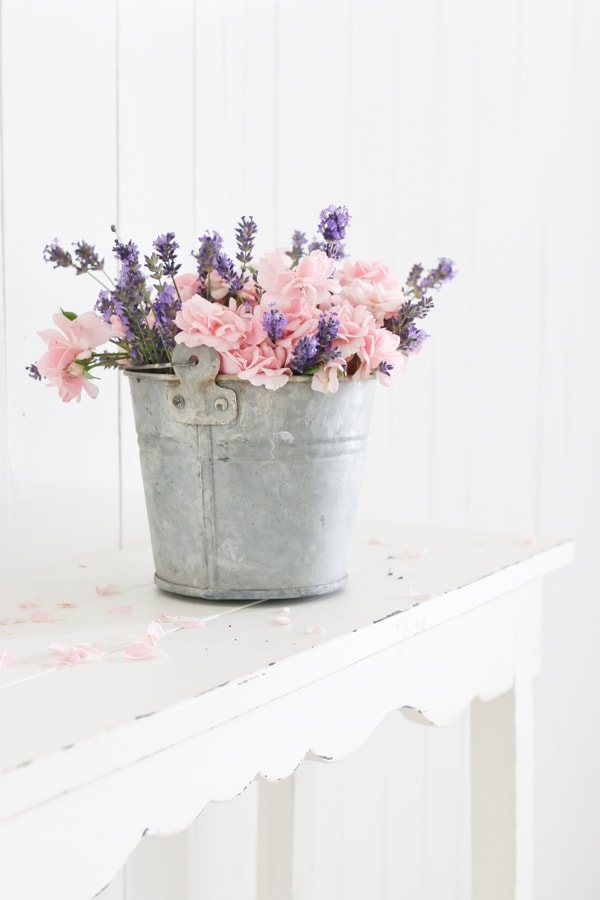 20 Ways to use Lavender