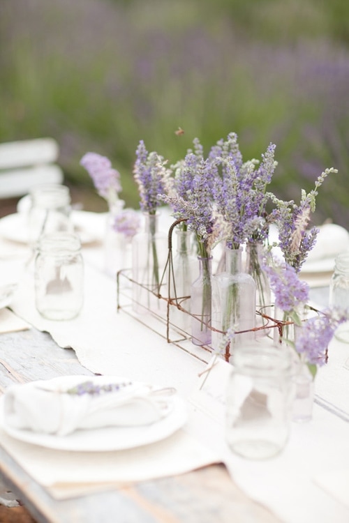 20 Ways to use Lavender 