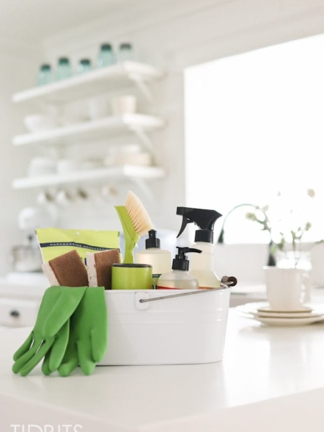 Clean Commish CHEMICALLY CLEAN LIVING STORY - Tidbits