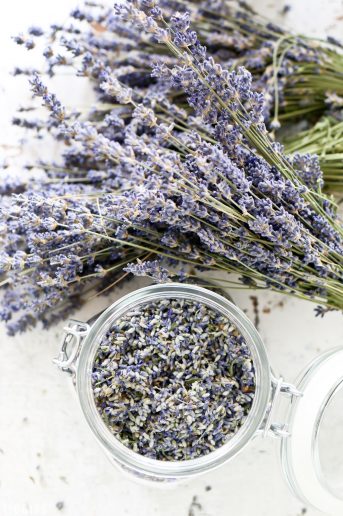 remove dried lavender buds from stem