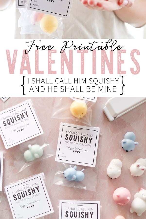 I shall call him squishy and he shall be mine, class valentines.