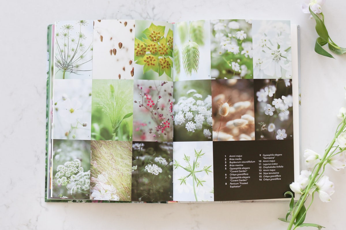 Look Inside these 7 Books on Growing Flower Gardens
