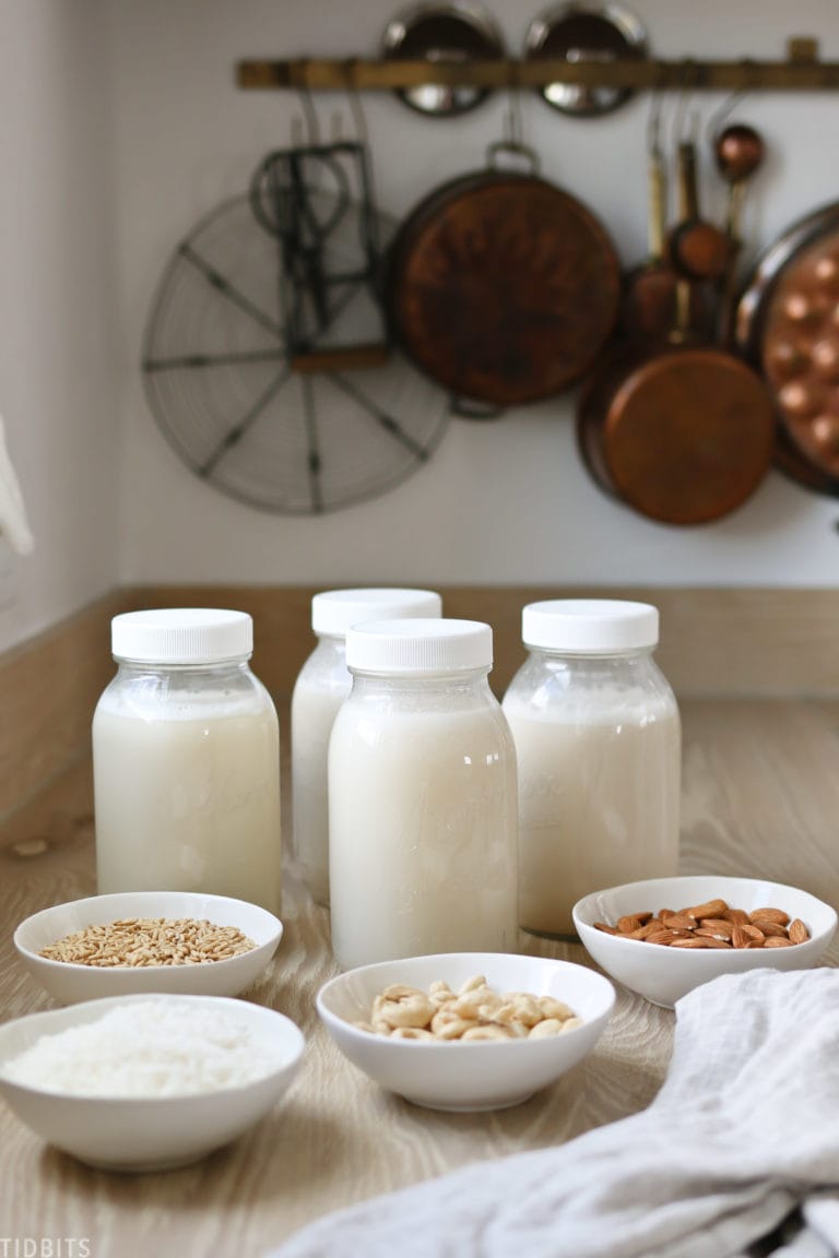 How to Make Almond Milk, Cashew Milk, Oat Milk and Coconut Milk | CRAZY EASY!
