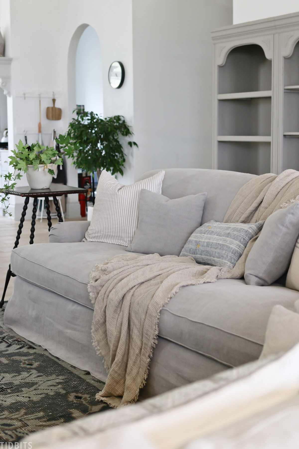 Living room updates | Couches and Rug