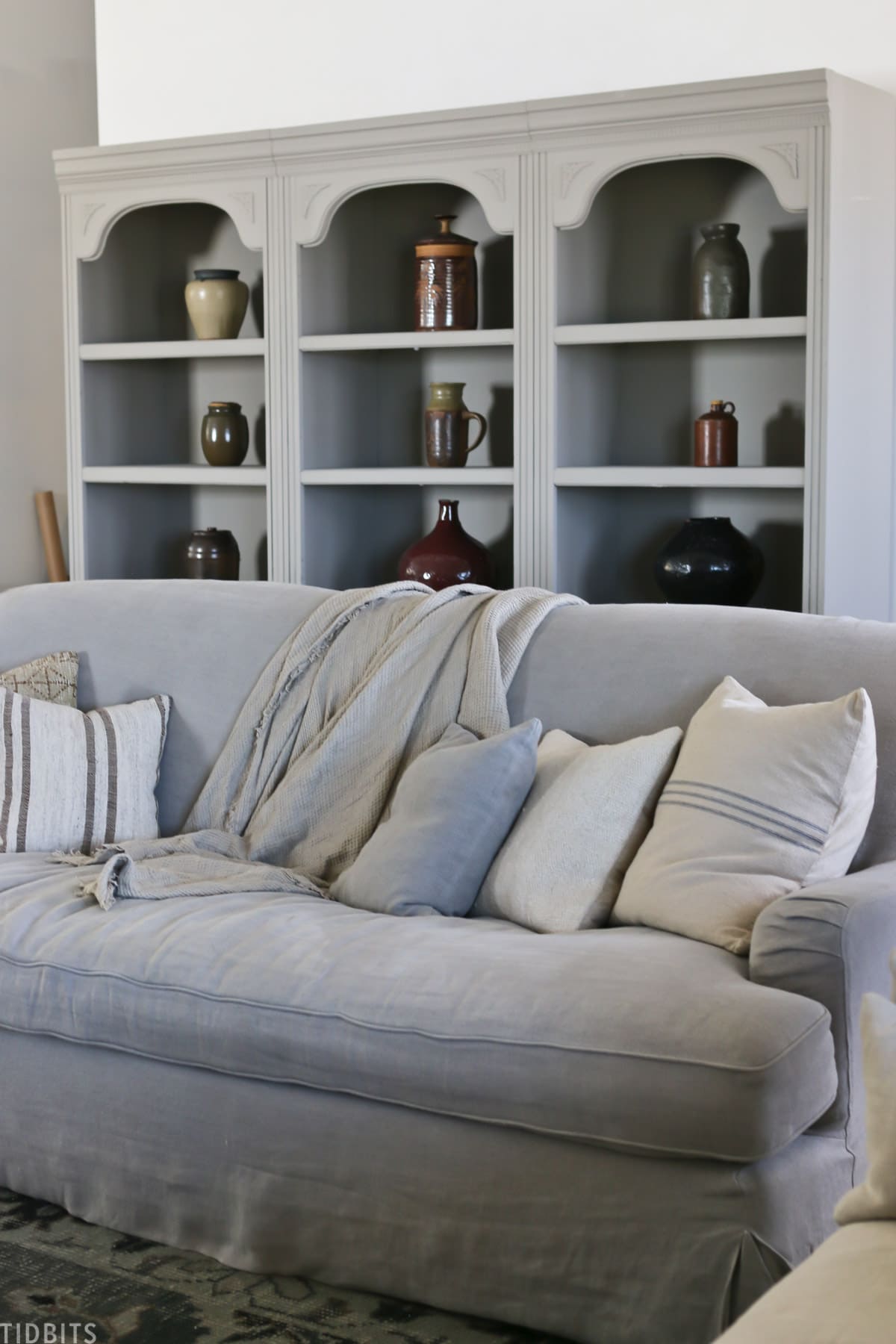 gray couch with decorate pillows and throw blanket with bookshelf in background