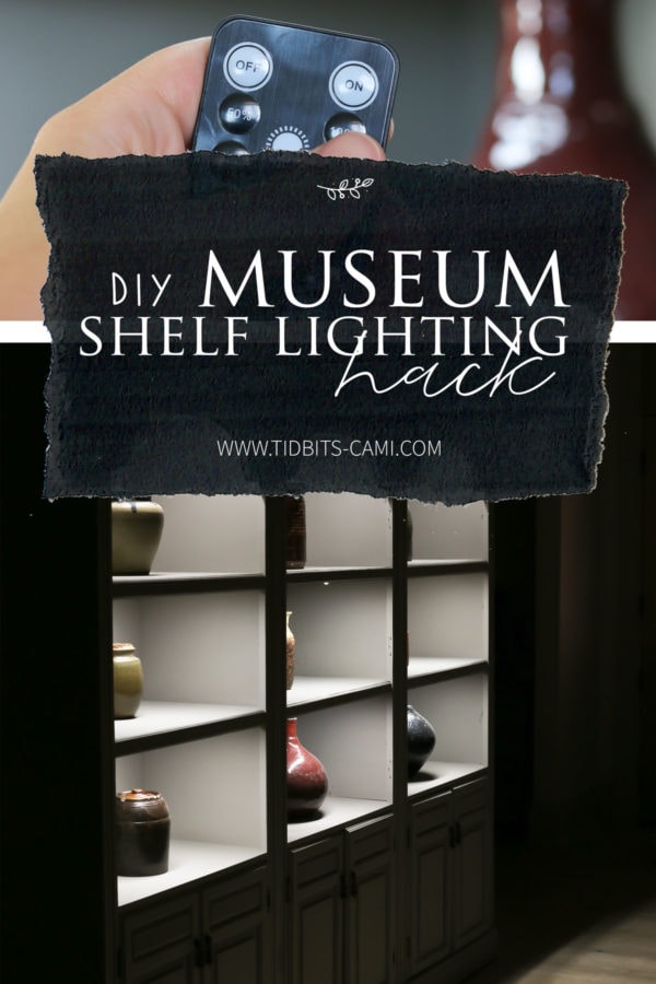 collage showing shelf lighting hack for bookshelf makeover